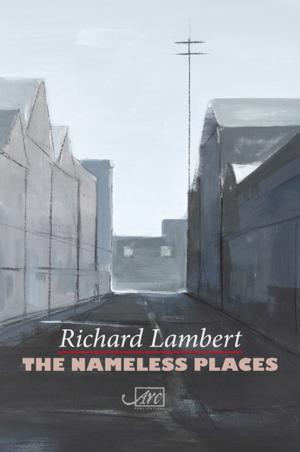 Cover of the book The Nameless Places by Andrew Clawson