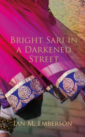 Cover of the book Bright Sari in a Darkened Street by Robyn Donald