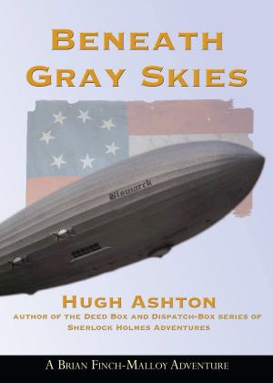 Cover of Beneath Gray Skies: A Novel of a Past That Never Happened