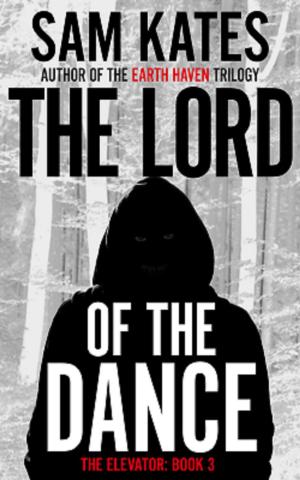 Cover of the book The Lord of the Dance by Barry Burnett