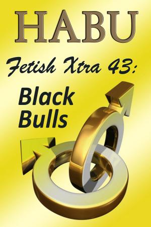 Cover of the book Fetish Xtra 43: Black Bulls by Chris Cross