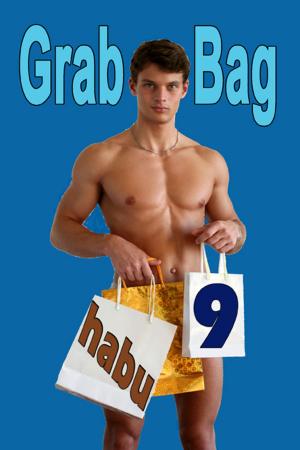 bigCover of the book Grab Bag 9 by 