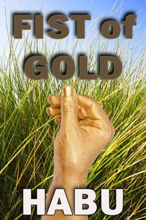 Book cover of Fist of Gold