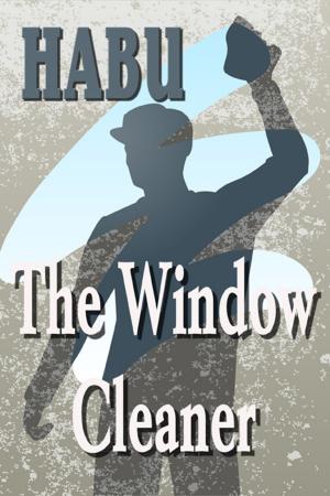 Book cover of The Window Cleaner