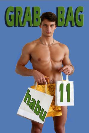 Book cover of Grab Bag 11