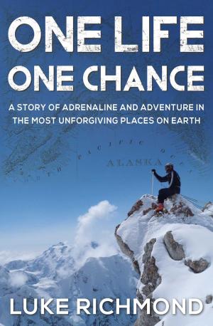 Cover of the book One Life One Chance by Heather Irvine
