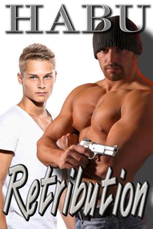 Cover of the book Retribution by Dirk Hessian