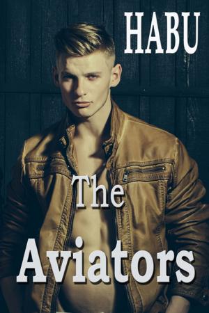 Cover of the book The Aviators by Dirk Hessian