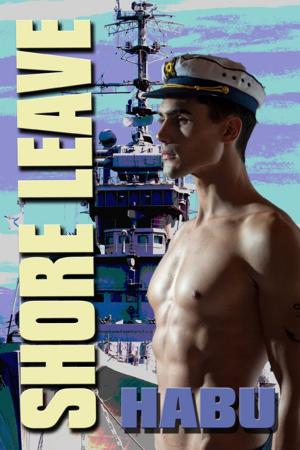Cover of the book Shore Leave by Luiz Antonio Aguiar