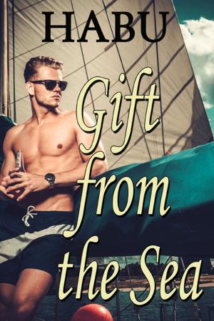 Cover of the book Gift from the Sea by Inaccurate Realities