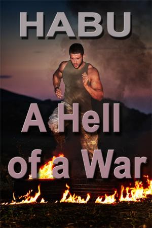 Cover of the book A Hell of a War by Louis Greenstein