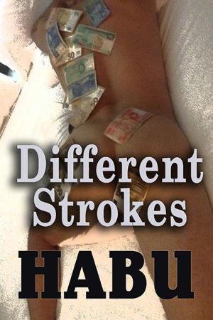 Cover of the book Different Strokes by Kim Black