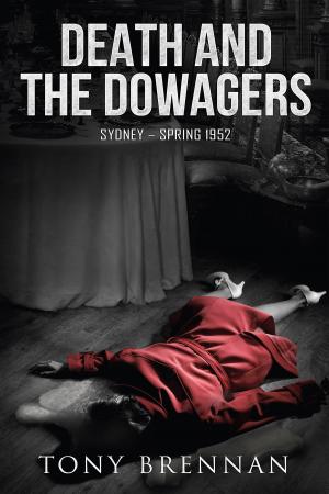 Cover of the book Death and the Dowagers by Ivan Light