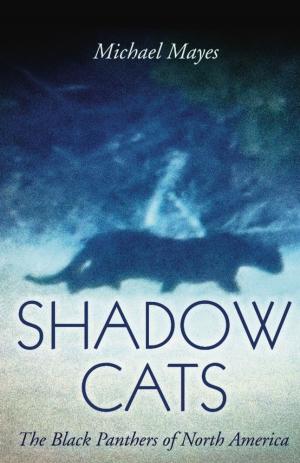 Cover of the book Shadow Cats by Nick Redfern