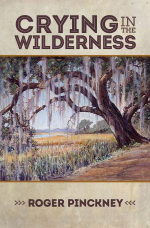 Cover of the book Crying in the Wilderness by Matt Owens Rees