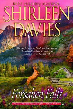 Cover of the book Forsaken Falls by Shirleen Davies