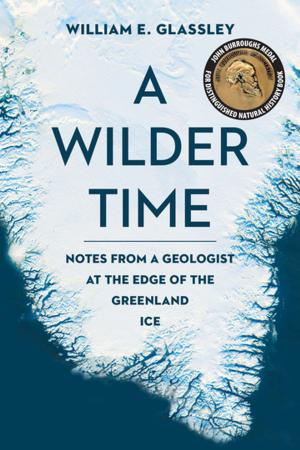 Cover of the book A Wilder Time by Norman Lock