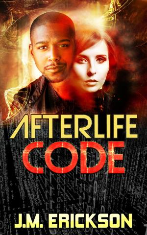 Cover of the book Afterlife Code by J. M. Erickson