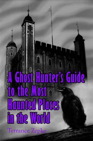 Book cover of A Ghost Hunter's Guide to the Most Haunted Places in the World