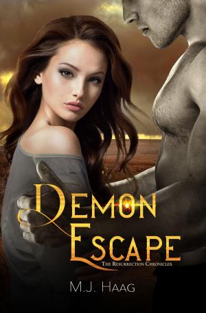 bigCover of the book Demon Escape by 