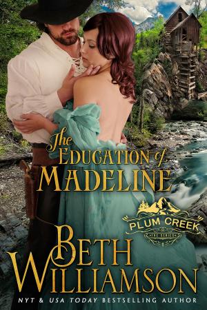 Cover of the book The Education of Madeline by Emma Lang