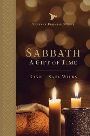 Cover of the book Sabbath by Stephen Hedges