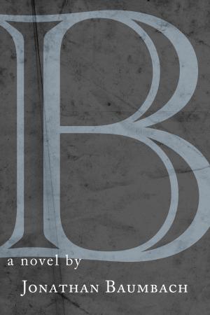 Cover of the book B by Stephen Dixon