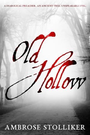 Cover of the book Old Hollow by Maryann Miller