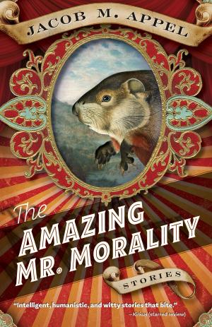 Cover of the book The Amazing Mr. Morality by Laura Long
