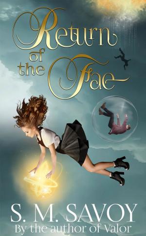 Book cover of Return of the Fae