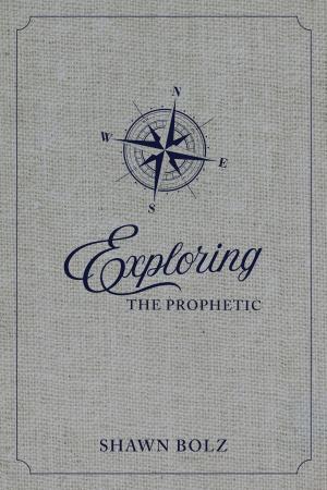 Cover of the book Exploring the Prophetic by Keith Newman