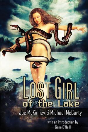 Book cover of Lost Girl of the Lake