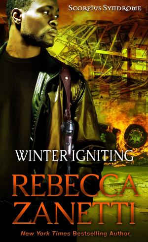 Cover of the book Winter Igniting by Derek Ebersviller