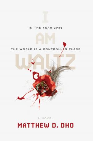 Cover of the book I Am Waltz by Daniel Wallace