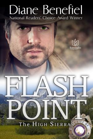 Cover of the book Flash Point by Kary Rader
