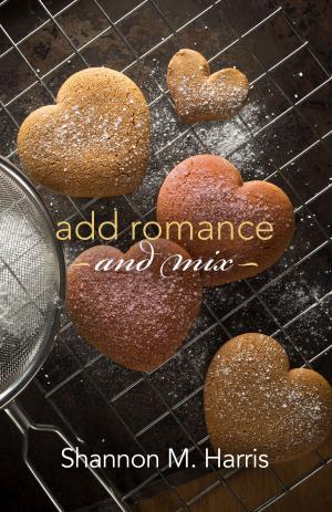 Cover of the book Add Romance and Mix by Karelia Stetz-Waters