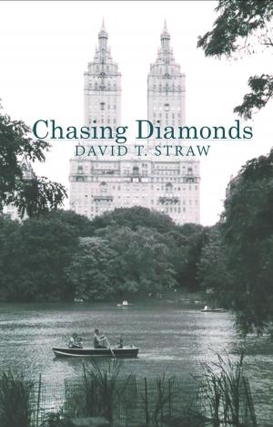 Cover of the book Chasing Diamonds by Terrence Hill