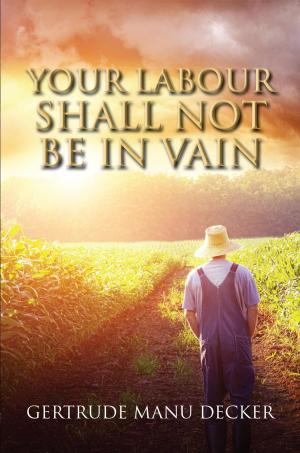 Cover of the book YOUR LABOUR SHALL NOT BE IN VAIN by Anah Jochebed