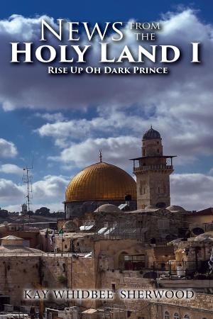 Cover of the book News from the Holy Land I by Detlef Gloge