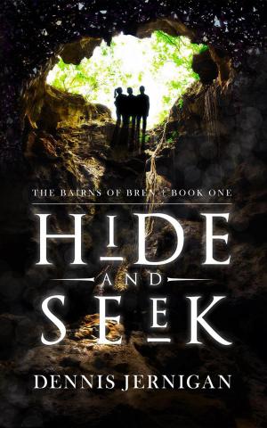 Cover of the book Hide and Seek by Edger J Lagose
