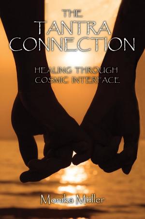 Cover of the book THE TANTRA CONNECTION by JAMES W BURKE JR