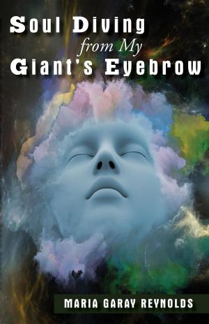 Cover of the book SOUL DIVING FROM MY GIANTS EYEBROW by Larry E. Ford