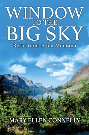 Cover of the book Window To The Big Sky by Kay Whidbee Sherwood