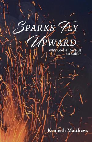bigCover of the book Sparks Fly Upward by 