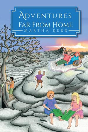 Cover of the book Adventures Far From Home by JOSEPH BRISBEN