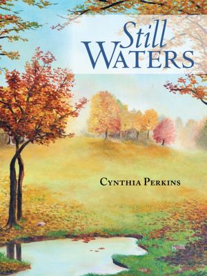 Cover of the book Still Waters by Sue Happy