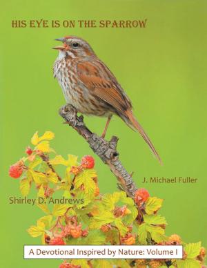 Cover of the book His Eye Is on the Sparrow by Rose of Sharon