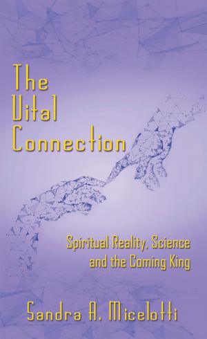 Cover of the book The Vital Connection by Heather DeBerry Stephens