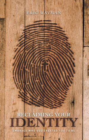 Cover of the book Reclaiming Your Identity by Cris L. P. Olsen