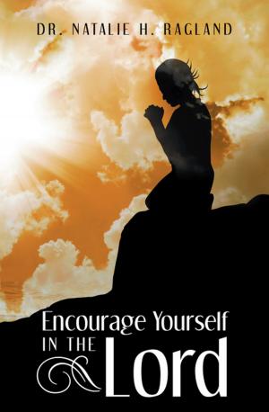 Cover of the book Encourage Yourself in the Lord by Stephen E. Price